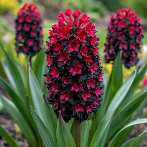 Гиацинт Джем Стоун купить по цене от 2099р. в интернет-магазине «Посадика» с доставкой почтой в в Темникове и по всей России – [изображение №1].