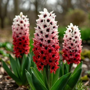 Гиацинт Скай Гарден купить по цене от 2099р. в интернет-магазине «Посадика» с доставкой почтой в в Темникове и по всей России – [изображение №1].